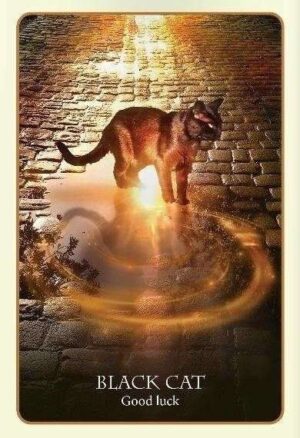 singlecard Divination Of The Ancients Oracle Black Cat Good Luck