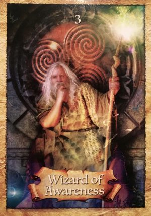 enkeltkort he Wizard Of Awareness The Enchanted Map Oracle