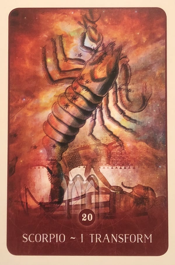 enkeltkort Scorpio I Transform Black Moon Astrology