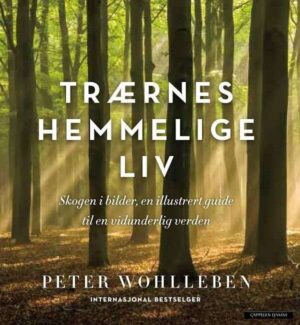 Bokforside Trærnes Hemmmelige Liv Illustrert Utgave Peter Wohlleben