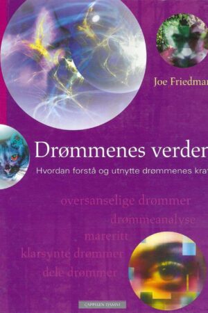 bokforside Drømmenes Verden Joe Friedman