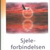 bokforside Sjele Forbindelsen Ann Jones
