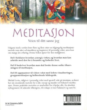 bokomtale Meditasjon, Michael Levin (2)