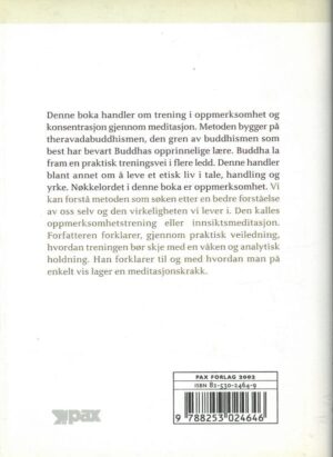 bokomtale Kåre A. Lie, Innsiktsmeditasjon
