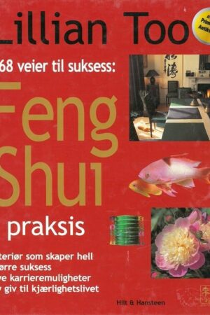 bokforside Feng Shui I Praksis, 168 Veier Til Suksess