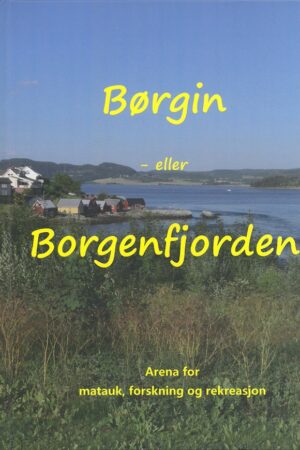 bokforside Børgin Eller Borgundfjorden, Willy Sundfær