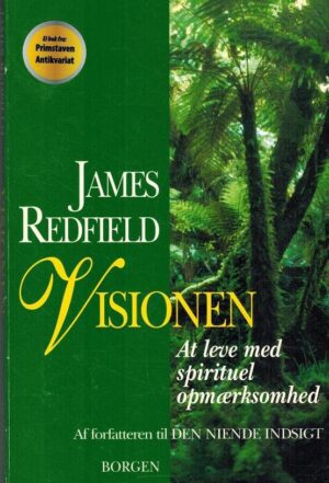 bokforside Visionen, James Redfield