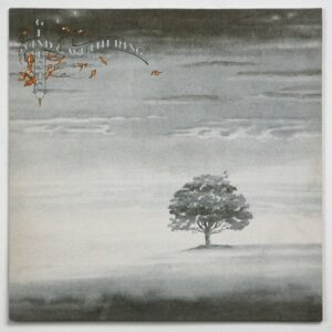 platecover Wind And Wuthering, Genesis, Vinyl