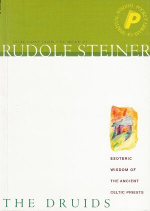 bokomslag Rudolf Steiner Druids