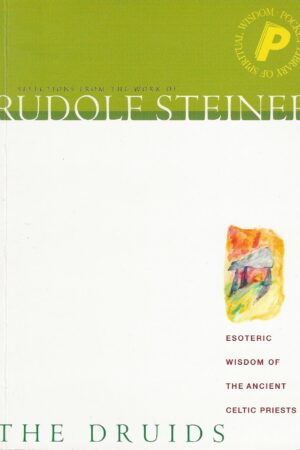 bokomslag Rudolf Steiner Druids