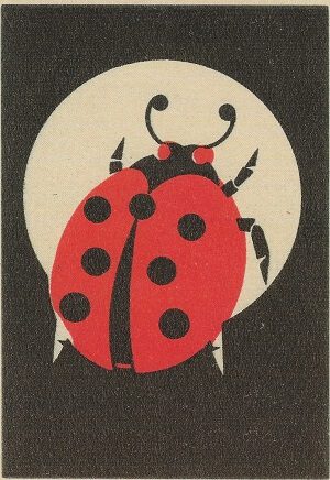 Enkelt Kort, Ladybird