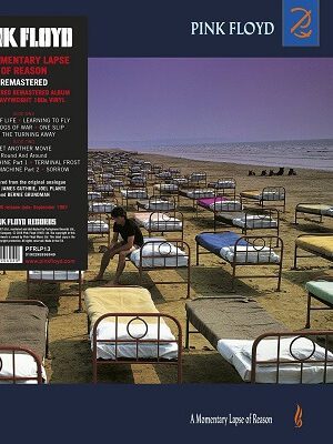 Platecover Pink Floyd - A Momentary Lapse of Reason