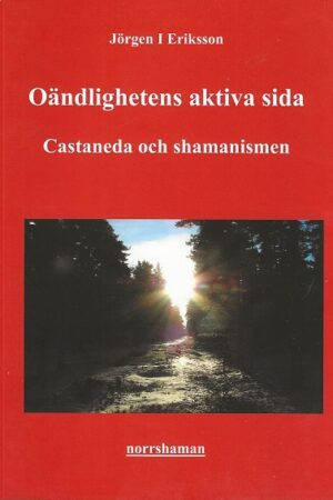 bokforside Oändlighetens aktiva sida - Castaneda och shamanismen