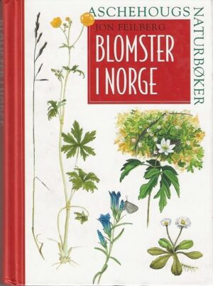 bokforside Blomster I Norge