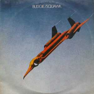 platecover BudgieSquawk, Vinyl Lp