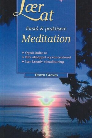 bokomslag Laer At Forstaa Og Praktisere Meditation (1)