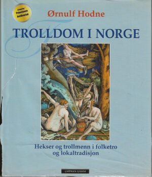 bokomslag Trolldom I Norge, Hekser Og Trollmenn I Folketro