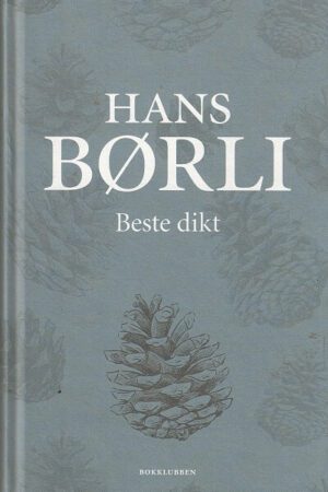 bokomslag Beste Dikt, Hans Boerli