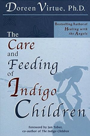 bokforside The Care and Feeding of Indigo Children