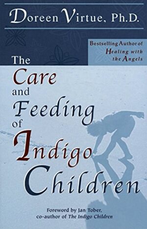 bokforside The Care and Feeding of Indigo Children