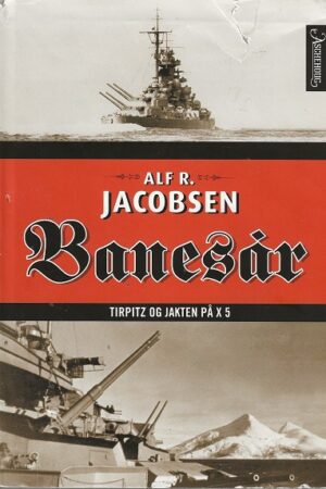 bokomslag Banesår, Alf R Jacobsen