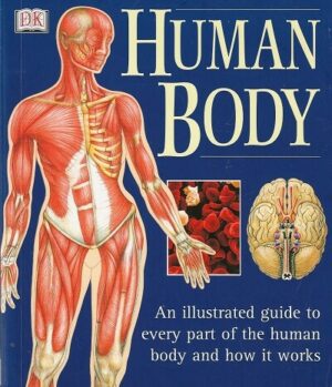 bokfoirside Human Body, Illustrated Guide