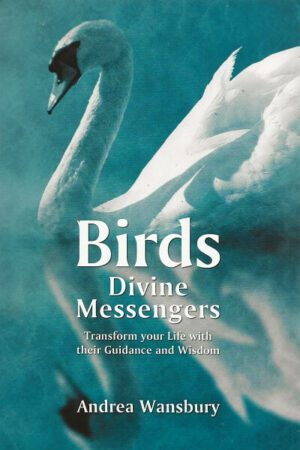 Bokforside - birds the divine messengers