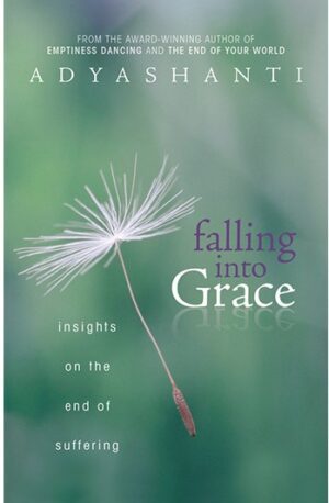 bokforside Falling into Grace
