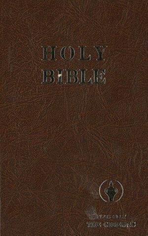 Bokforside - Holy Bible