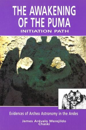 Bokforside - The awakening of the puma