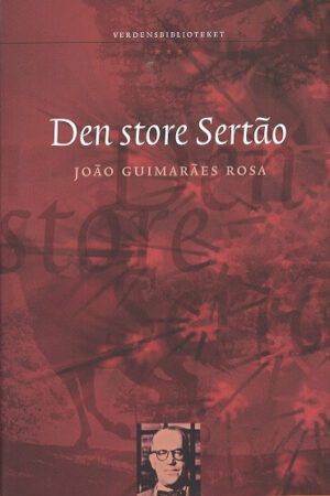 bokomslag Den Store Sertao, Joao Guimaraes Rosa