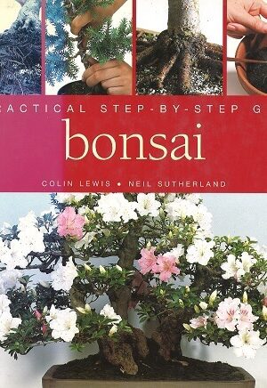 Bokomslag - Bonsai