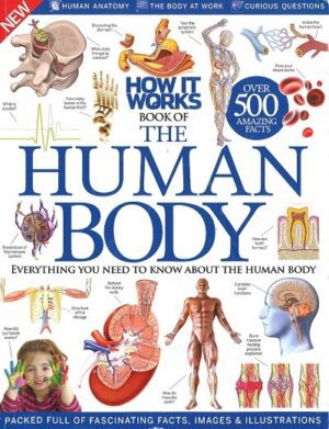Bokforside - The human body