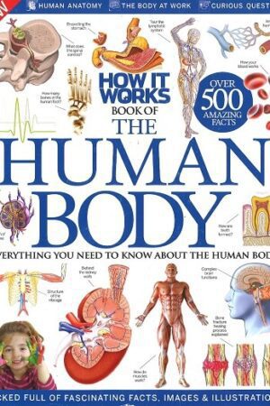 Bokforside - The human body