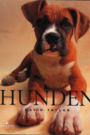 bokforside Hunden, David Taylor