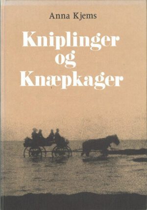 bokforside Kniplinger Og Knaepkager, Anna Kjems
