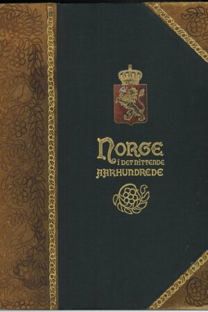 bokomslag Norge I Det Nittende Aarhundrede