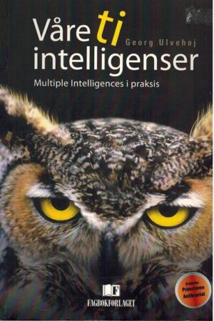 Vaare Ti Intelligenser, Multiple Intelligences