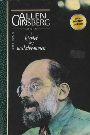 bokomslag Allen Ginsberg I Hjertet Av Malstroemmen