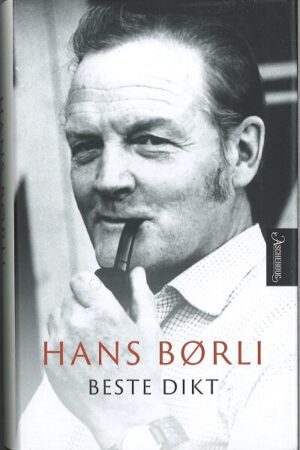 bokomslag Hans Boerli, Beste Dikt