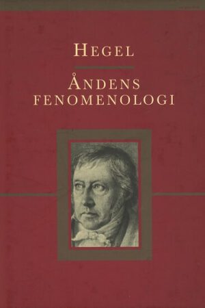 bokomslag Hegel, Aandens Fenomenologi