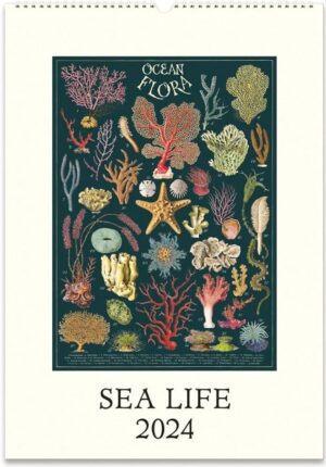 foto av Sea Life, Veggkalender 2024