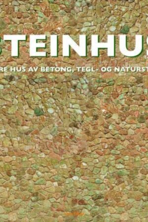 bokomslag Steinhus Lekrehus Av Betong Tegll Og Naturstein