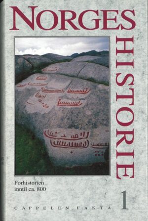 bokomslag Norges Historie Bind 1