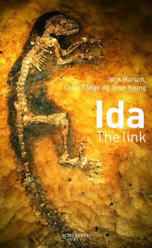 bokomslag Ida The Link, Colin Tudge