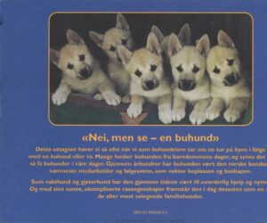 bokomtale buhund, historikk 1939-.1999