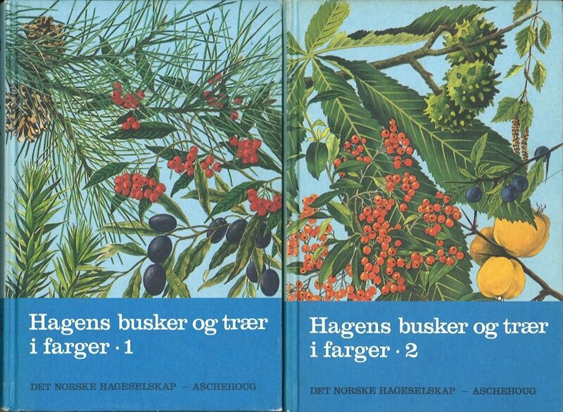 Busker Og Traer () Busker Og Traer