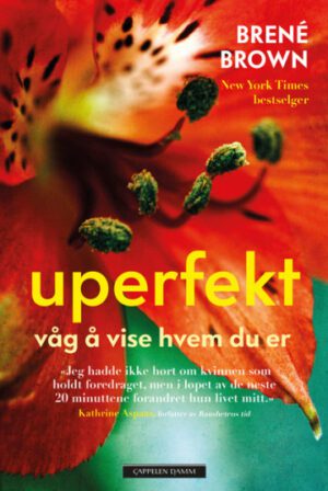 bokomslag uperfekt - vaag aa vise hvem due er - brene brown