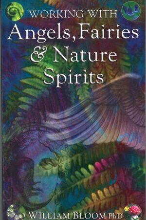 bokforside Working With Angels, Fairies And Nature Spirits