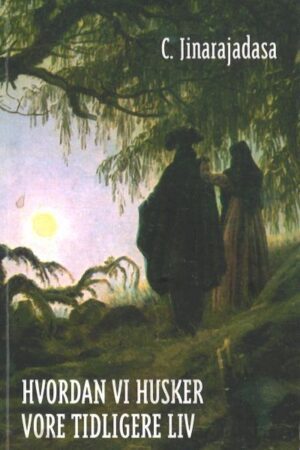 bokforside, Hvordan vi husker vore tidligere liv